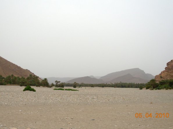 oasis3