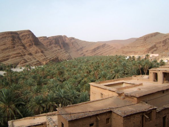 oasis7